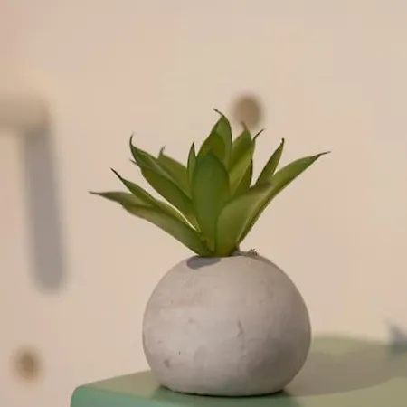 Apartmán Nest 4 At Center 2p Soluň